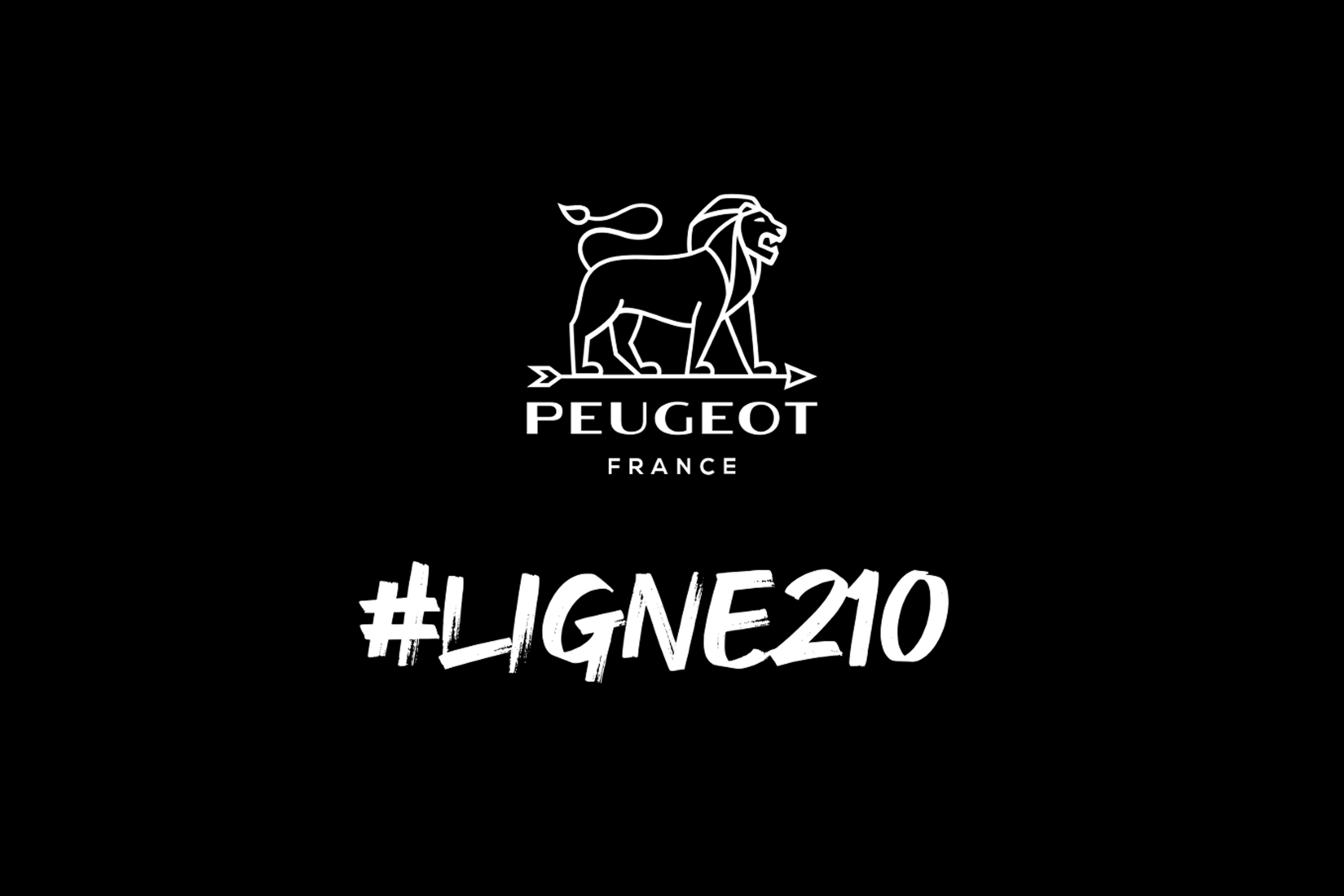Peugeot 210 ans